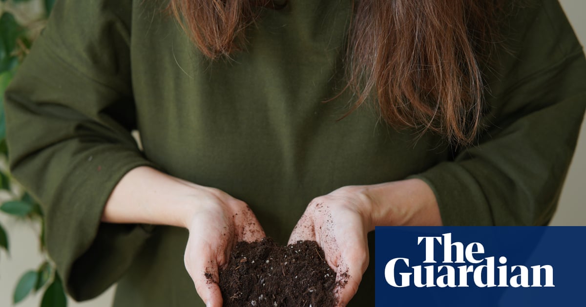 Houseplant hacks: Can I reuse my potting mix?