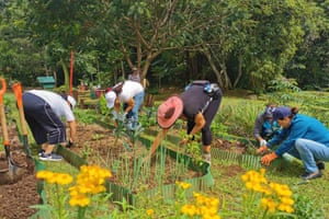 Sweet City The Costa Rica Suburb That Gave Citizenship To Bees Plants And Trees Environment The Guardian
