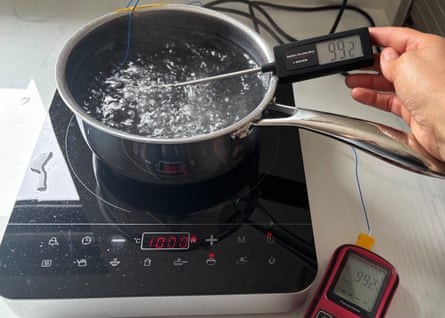 Heston Blumenthal Precision Indoor/Outdoor meat thermometer