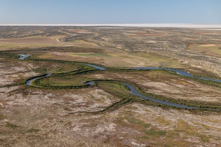The outback is blanketed in colour as flood waters fill rivers and creeks