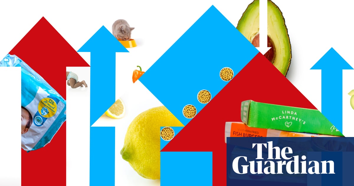 ‘The fruit bowl is emptier and petrol is shocking’: one family’s experience of soaring cost of living