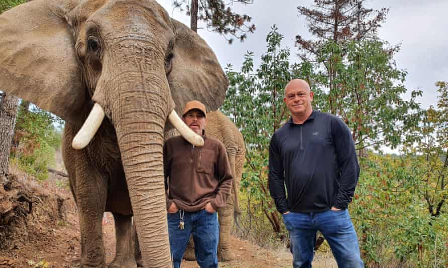 Ross Kemp (right), trainer Josh and Baba the elephant