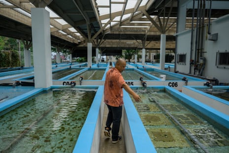 Steven Victor, Ministro de Agricultura, Pesca y Medio Ambiente de Palau, explica el propósito de los tanques marinos en Palau Fisheries.