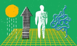 The idea of economic improvement is now culturally intertwined with the idea of capitalism.