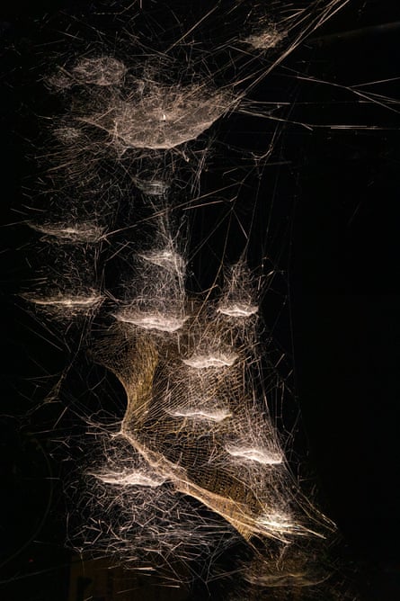 Webs of At-tent(s)ion, Tomás Saraceno.