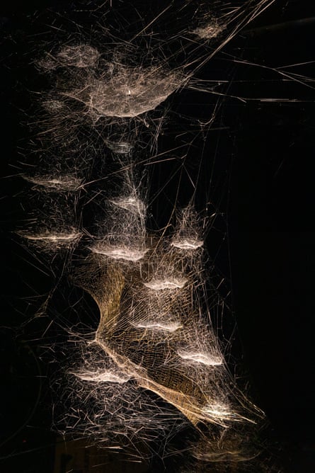 Toiles d'At-tent(s)ion, Tomás Saraceno.