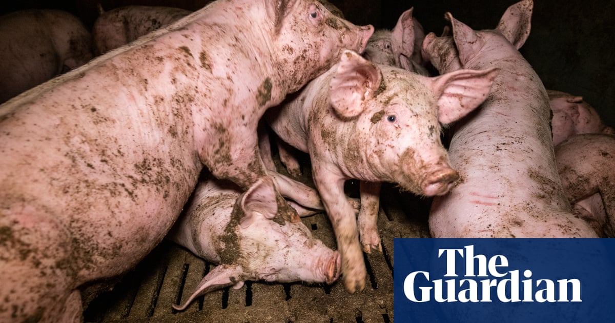 3120.jpg?width=1200&height=630&quality=8