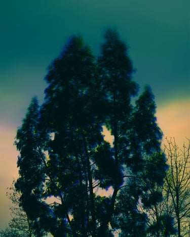 In Irish folk tradition, there are many accounts relating the experience of people traveling alone, often at night, who suffer sudden, severe fits of disorientation and confusion while traversing the natural landscape. Such bouts were at times attributed to the influence of the fairies (who would often set wanderers astray for their own amusement) or the power of the fóidín mearbhall, stray sod, understood as an enchanted patch of earth which would profoundly disorient those who stepped upon it.