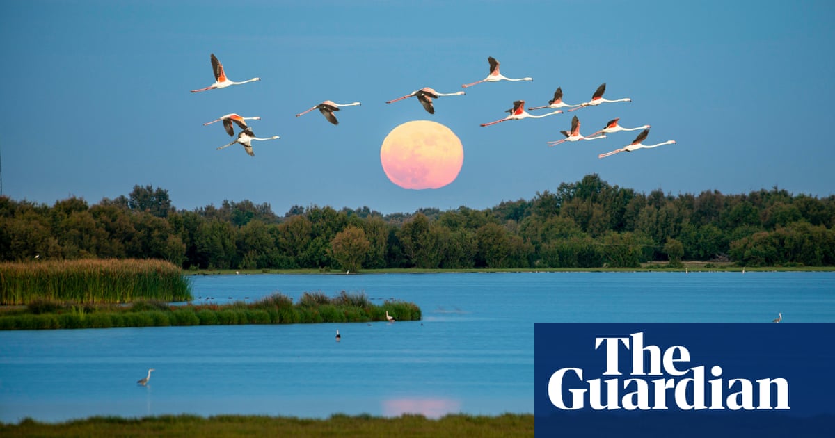 Сделка за 1 4 милиарда евро за защита на националния парк