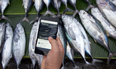 Blockchain technology trialled to tackle slavery in the fishing industry, Guardian sustainable business