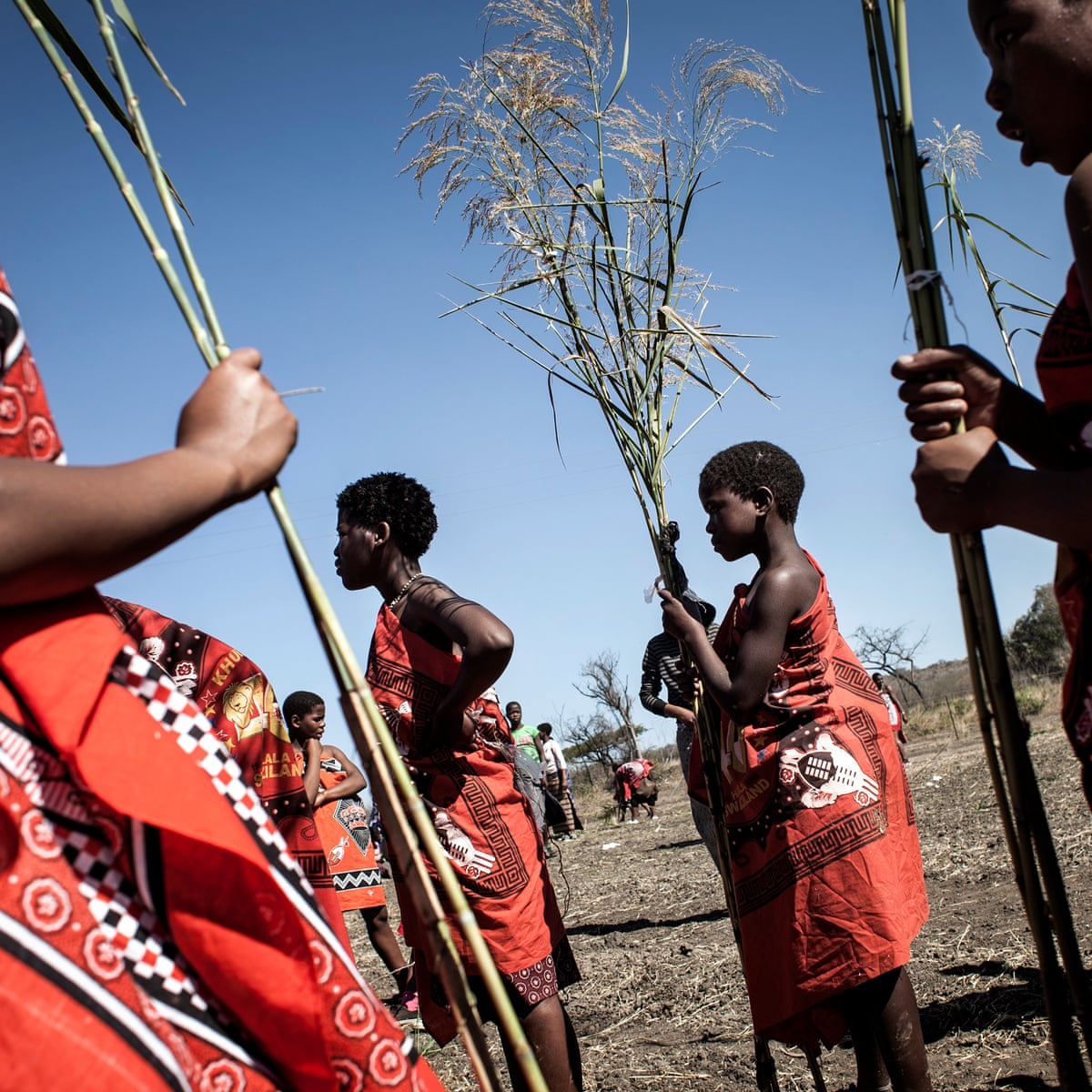 Swaziland S Reed Dance Cultural Celebration Or Sleazy Royal Ritual Eswatini The Guardian Swaziland S Reed Dance Cultural Celebration Or Sleazy Royal Ritual Eswatini The Guardian