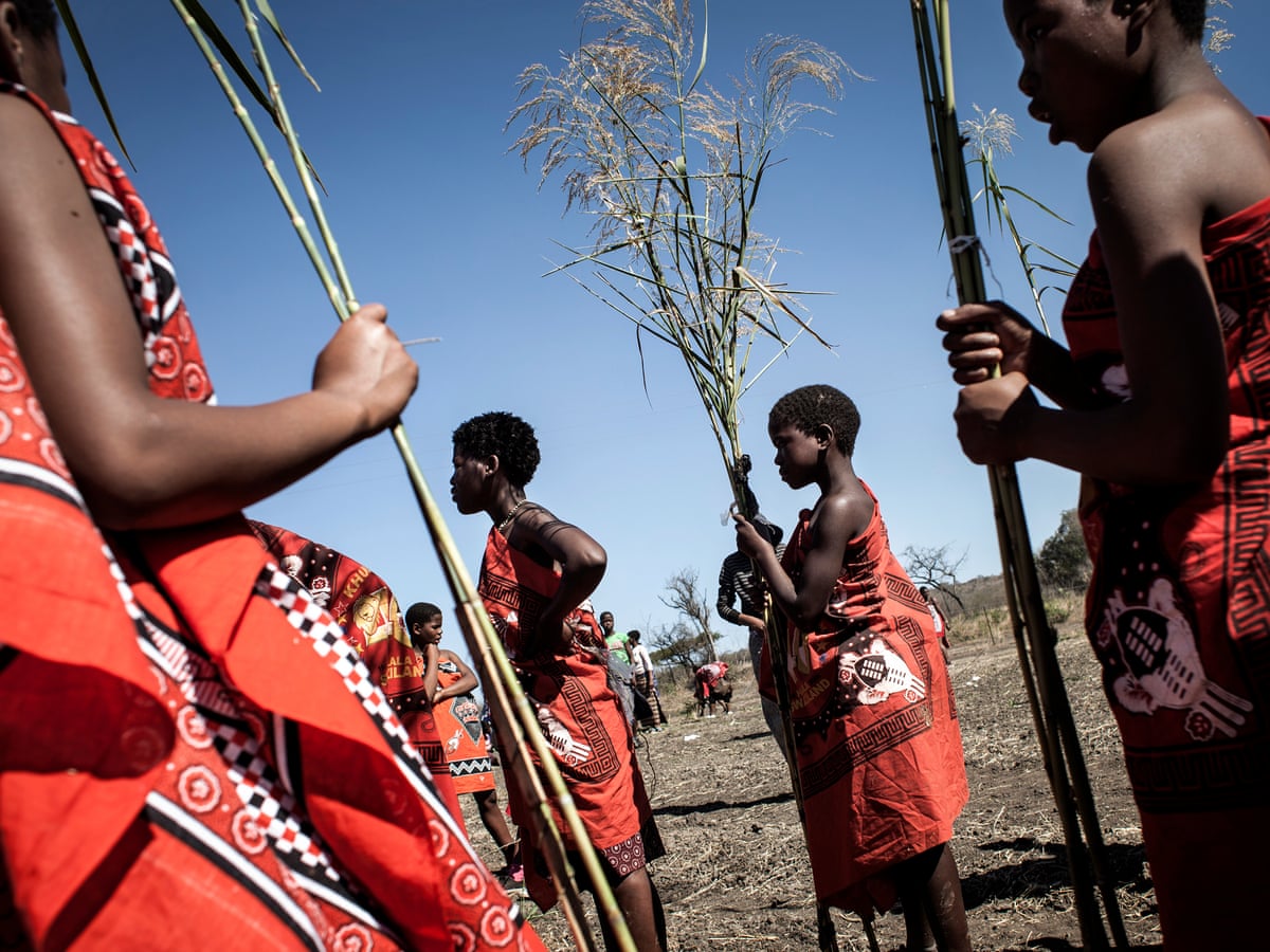 Swaziland's reed dance: cultural celebration or sleazy royal ritual? |  Eswatini | The Guardian