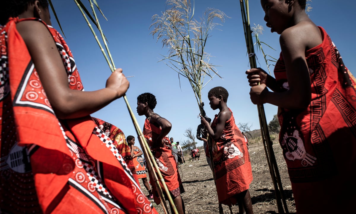 Swaziland's reed dance: cultural celebration or sleazy royal ritual? | Eswatini | The Guardian