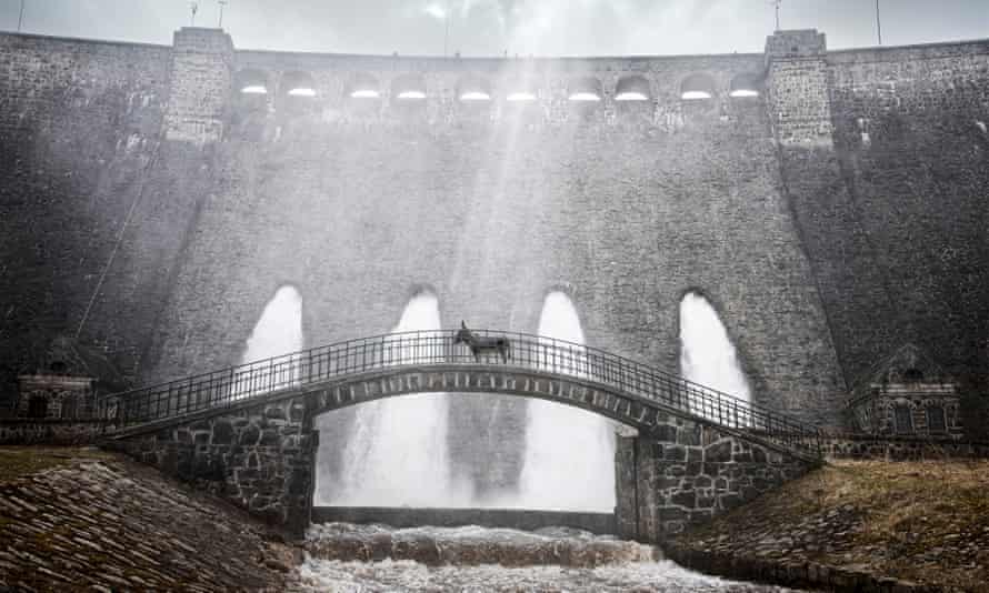 The donkey EO standing on a bridge