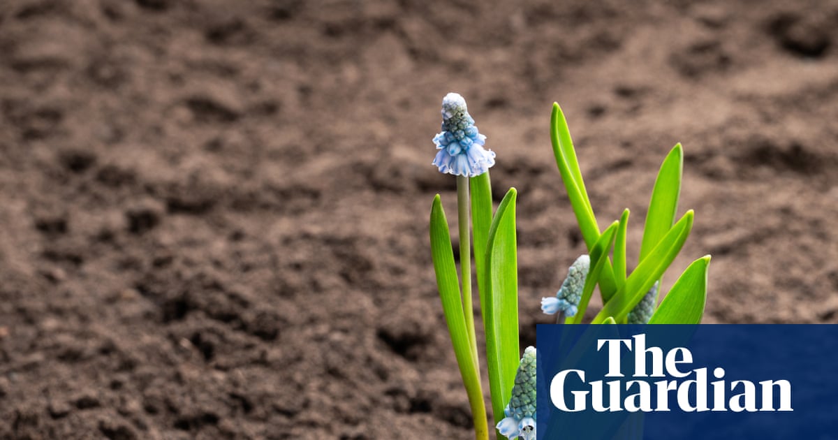 Got a new garden and don’t know where to start? Get the basics right first