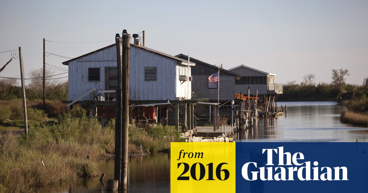 How Did the Seminole Tribe Survive Hurricanes: Resilience Uncovered