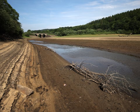 Cracked, dry reservoir bed with a thin stream of water