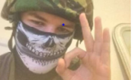 Dolphin in a soldier’s helmet and skull face-mask