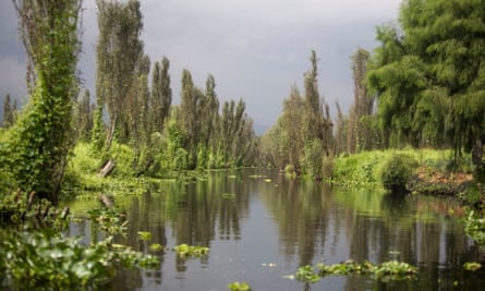 A canal in Xochimilco Lake.