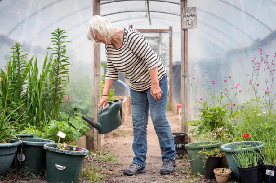 The Golden Hill Community Garden in Bristol.