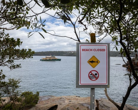 Family of 12-year-old Sydney Harbour shark attack victim prepare ...