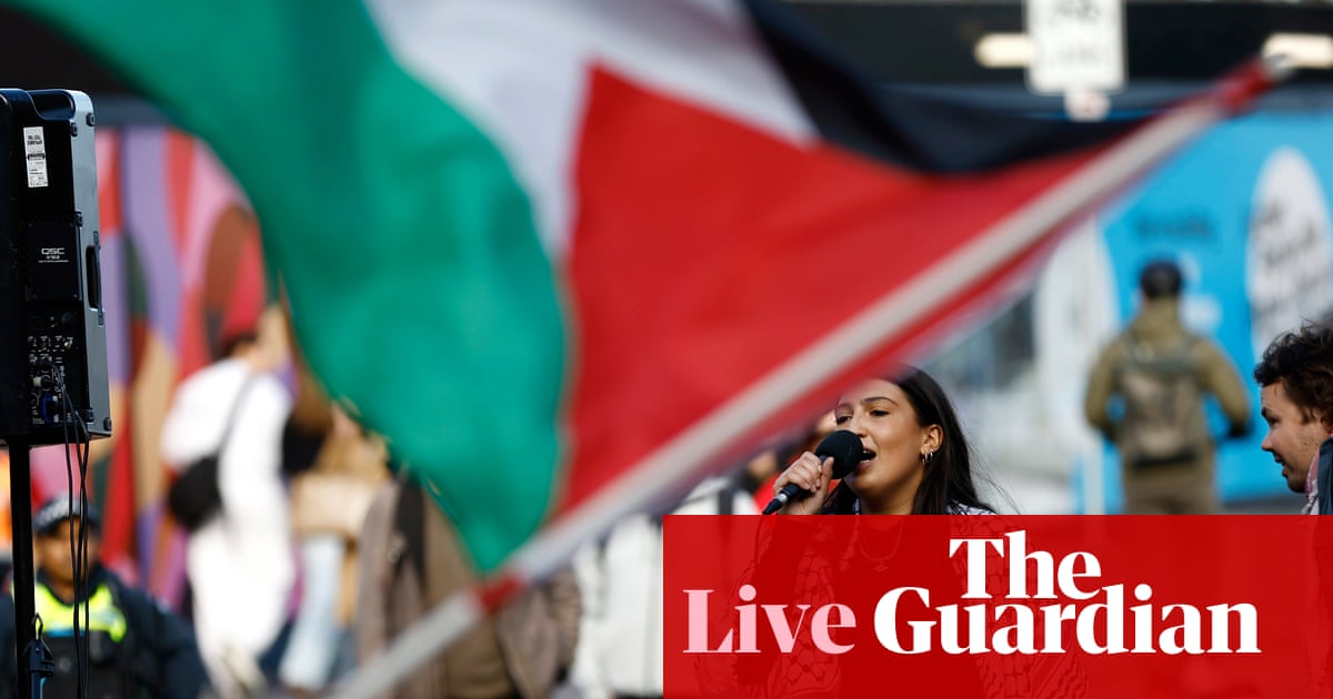 Australia news live: pro-Palestine marches expected to attract huge turnout; Albanese congratulates Ukraine on independence day