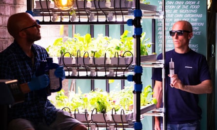 James Koch (left) and James Smailes at their vegan cafe, Suncraft, where they grow salad leaves hydroponically.