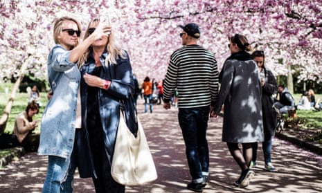 People taking pictures under blooming cherry blossoms at the cemetery of Bispebjerg in Copenhagen, Denmark.