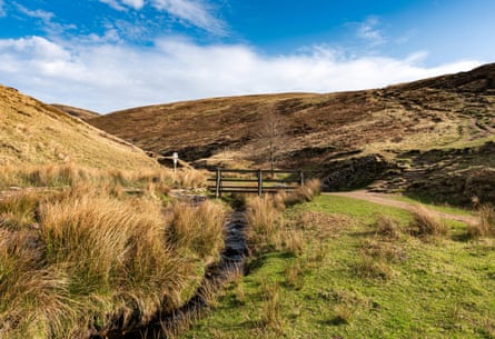 A path and a small stream running down upland moors