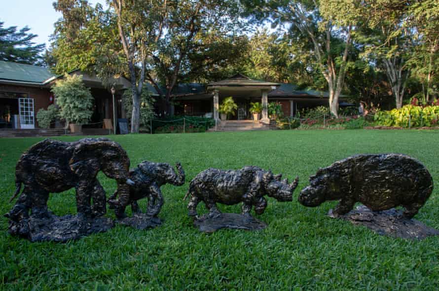 Sculptures of elephants, a rhino and a hippo made of recycled plastic.