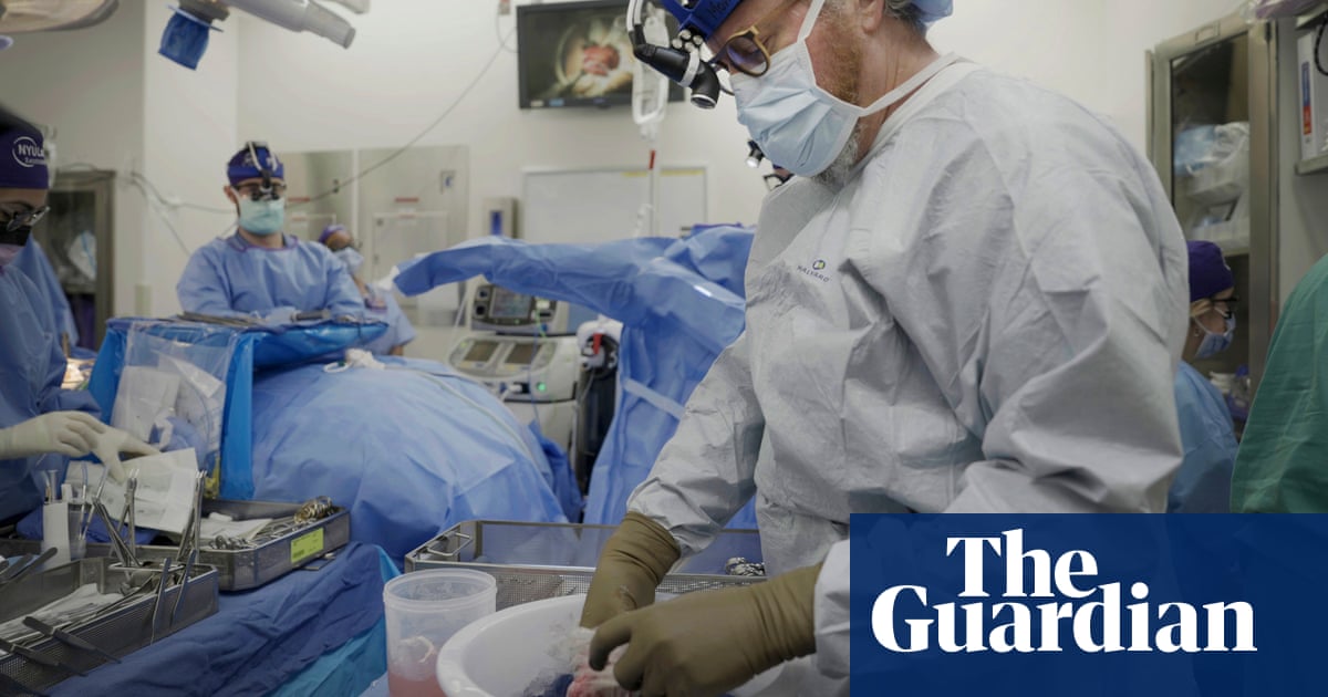 Pig kidney keeps working for over a month in braindead mans body  The Guardian US Pig kidney keeps working for over a month in braindead mans body  The Guardian US