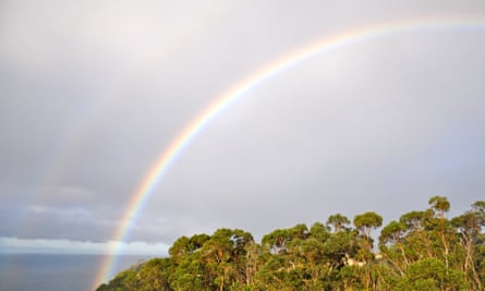 ‘I am so grateful for the last ten years, for the rainbow and rosellas that guided us here’: the sign from above that guided Dawkins to Hobart.