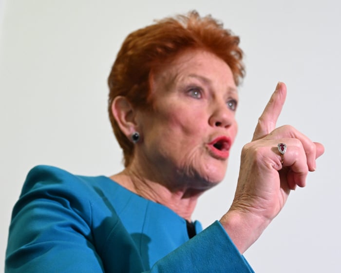 Pauline Hanson says domestic violence prevents police from dealing with ‘real crime’ in unearthed interview