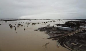 Rachel Anderson of Eddington station says she has lost about 2,000 cattle, roughly half the herd