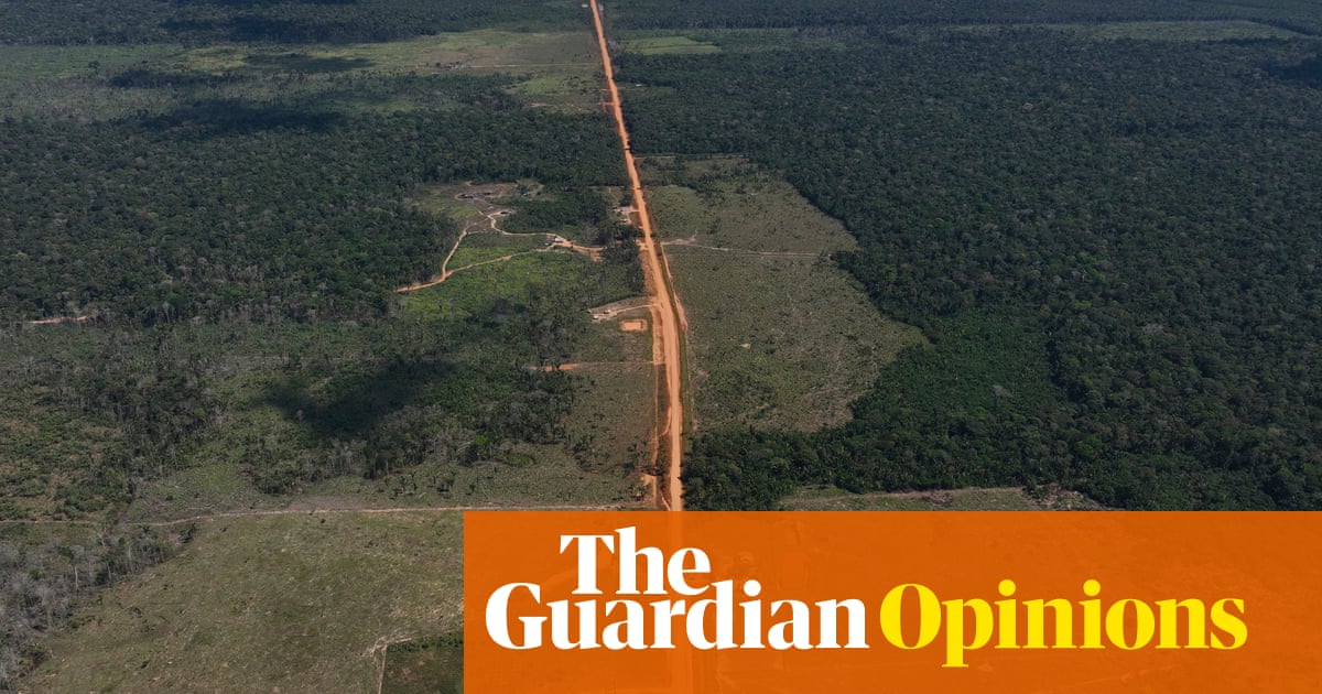 Brazil's environmental movement is under threat and Lula is siding with oil industry