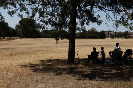 Children sheltering under a tree at Tooting Bec Common.