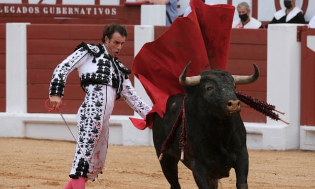 Madrid Bullfight Schedule 2022 Bullfighting Festival Axed After Bulls Named 'Feminist' And 'Nigerian'  Slain | Spain | The Guardian
