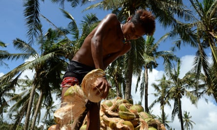Exploited? A Filipino coconut farmer.