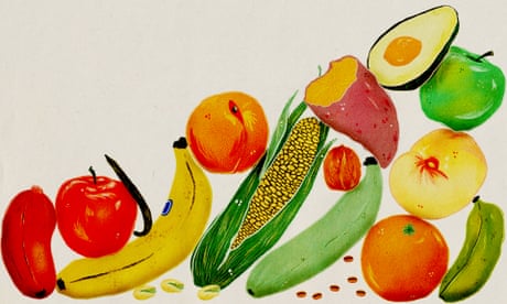 Illustrations of several fruit