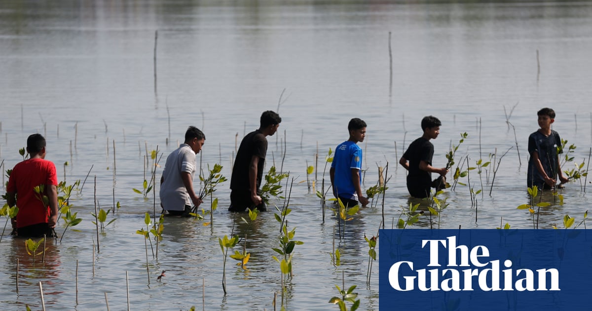 UK's Climate Aid Cuts: A Dangerous Message to the Global South