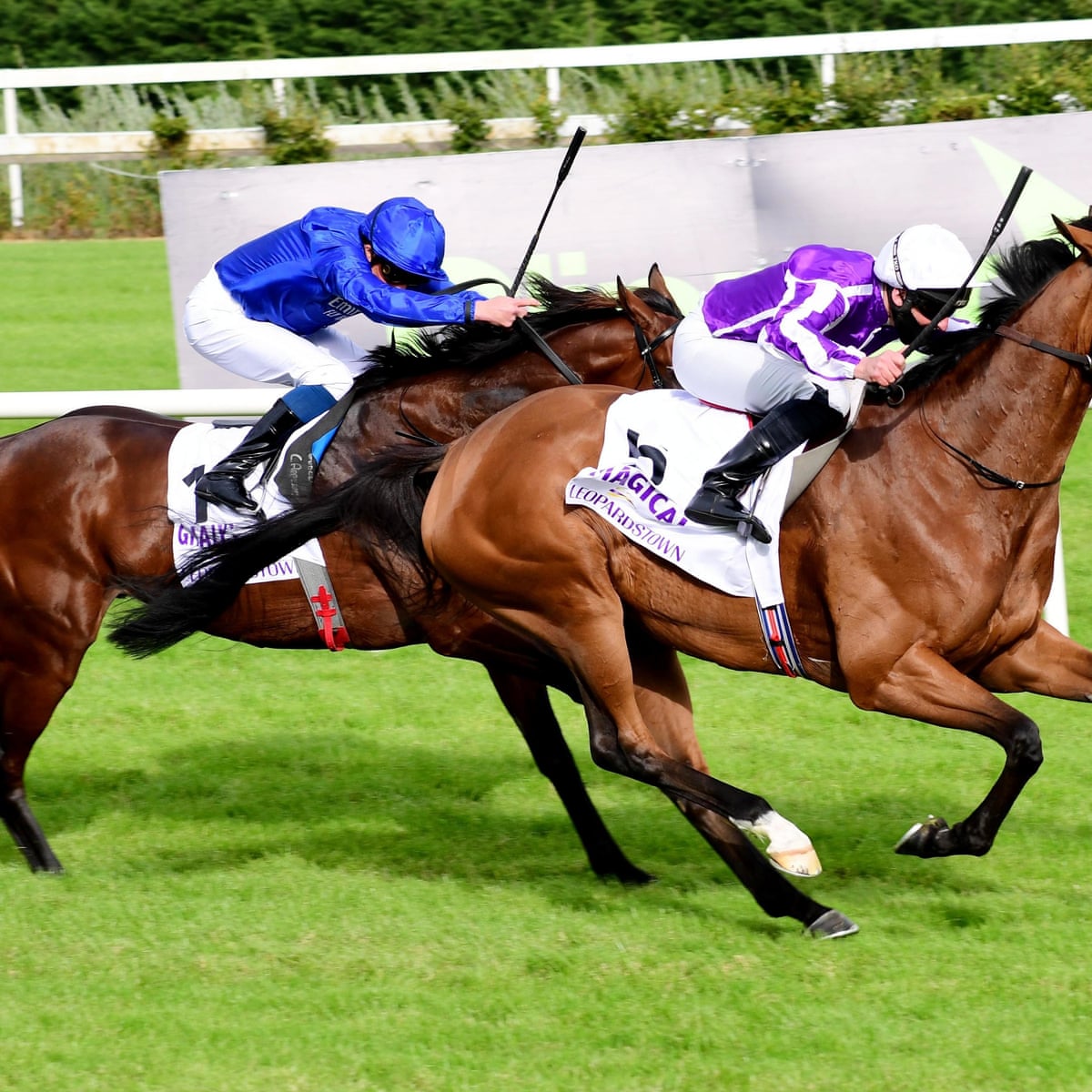 Talking Horses European Raiders Line Up For Breeders Cup Cash Bonanza Breeders Cup The Guardian Breeders Cup Mile 2022