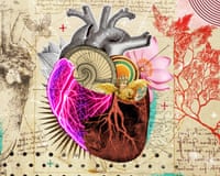 an illustration of a heart in the style of Leonardo da Vinci