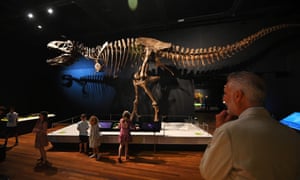 People look at the Tyrannosaurs exhibit during the reopening of the Australian Museum in Sydney