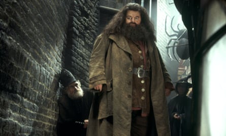 Coltrane as Hagrid in Harry Potter and the Chamber of Secrets, 2002.