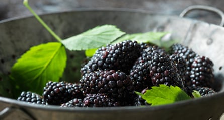 Blackberries