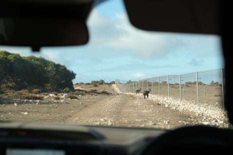 The cat-proof fence on Kangaroo Island