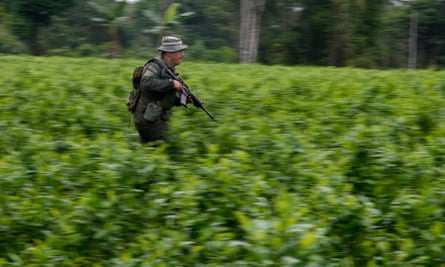 A narcotics officer wearing fatigues and carrying an automatic rifle runs through a field of coca while taking part in a raid on a cocaine-making lab in Putumayo, Colombia.