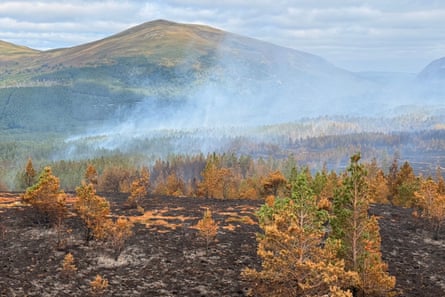 Smouldering heathland.