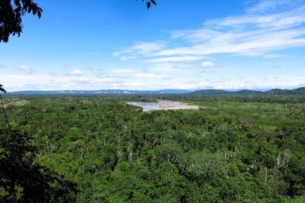 Amazon rainforest
