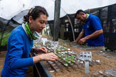 Two people in blue shirts look at small shoots growing in pots.